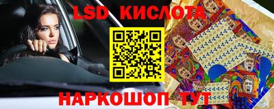 стаф Будённовск