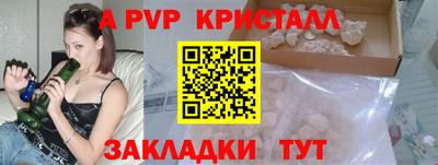 стаф Будённовск
