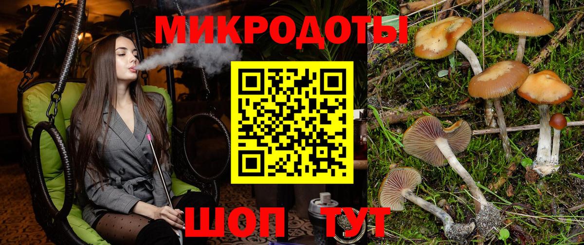Новочеркасск  Псилоцибиновые грибы GOLDEN TEACHER  Галлюциногенные грибы Psilocybe  Вход с VPN 