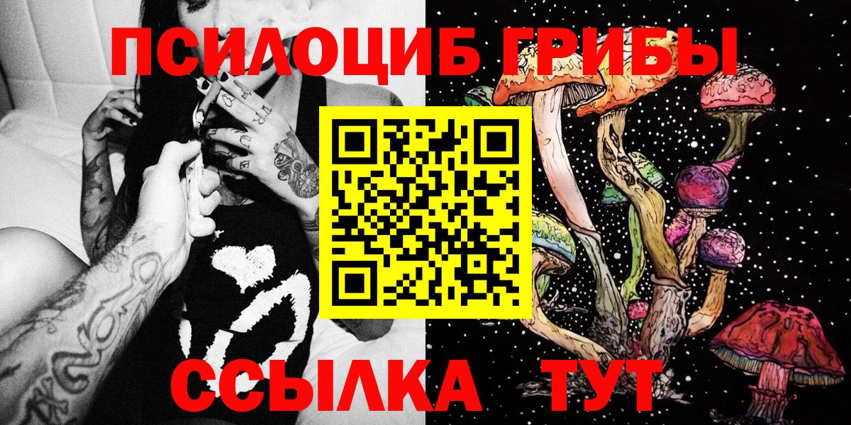 Галлюциногенные грибы Psilocybe Новочеркасск